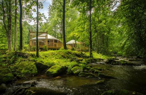 Topton Villa | Spring Ridge Luxury Yurt - Creekside Glamping with Private Hot Tub