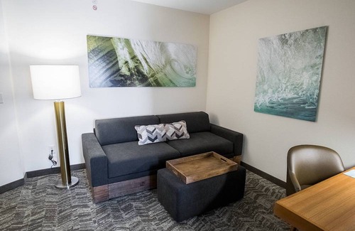 Winston - Salem Hotel | Springhill Suites by Marriott Winston-Salem Hanes Mall