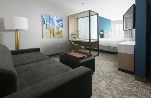 Dickinson Hotel | SpringHill Suites by Marriott Texas City