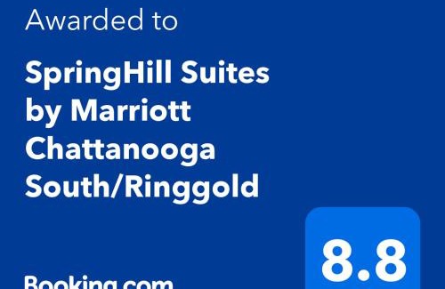 Ringgold Hotel | SpringHill Suites by Marriott Chattanooga South/Ringgold