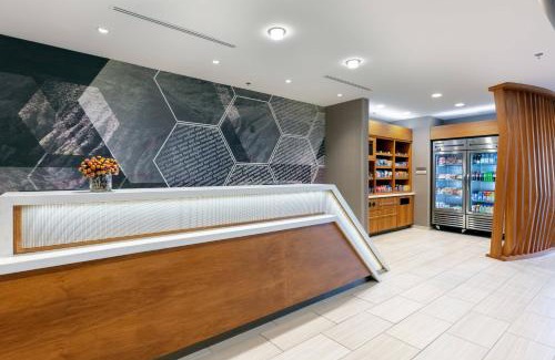 Ringgold Hotel | SpringHill Suites by Marriott Chattanooga South/Ringgold