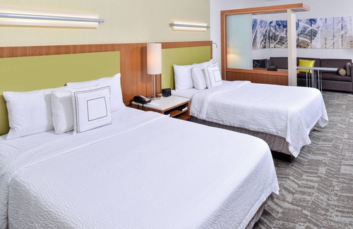 Romulus Hotel | SpringHill Suites by Marriott Detroit Metro Airport Romulus