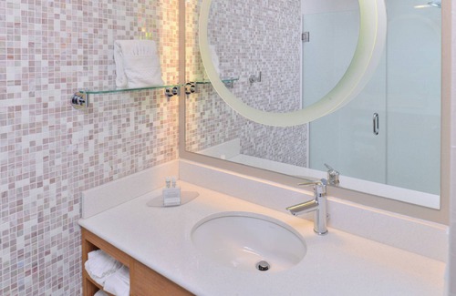 Romulus Hotel | SpringHill Suites by Marriott Detroit Metro Airport Romulus