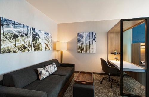 Far North Dallas Hotel | SpringHill Suites by Marriott Dallas Richardson/University Area