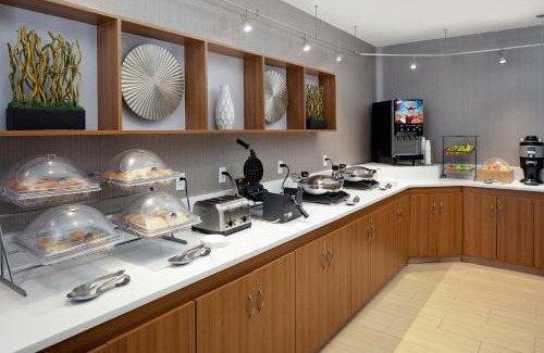 Romulus Hotel | Springhill Suites by Marriott Detroit Metro Airport Romulus