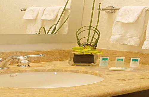 Westshore Hotel | SpringHill Suites by Marriott Tampa Westshore Airport