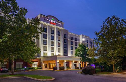 Norfolk - Virginia Beach Hotel | SpringHill Suites by Marriott Norfolk Virginia Beach