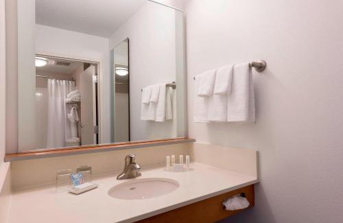 Auburn Hills Hotel | SpringHill Suites Detroit Auburn Hills