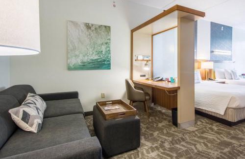 New Tampa Hotel | SpringHill Suites Tampa North/Tampa Palms