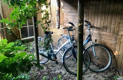 Laag Zuthem Cabin | Sprookjesachtige blokhut