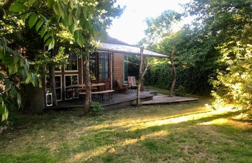Laag Zuthem Cabin | Sprookjesachtige blokhut