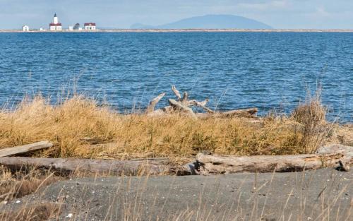 Sequim House | Sq Dungeness Bungalow 271