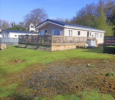 Girvan House | Sqirl vew