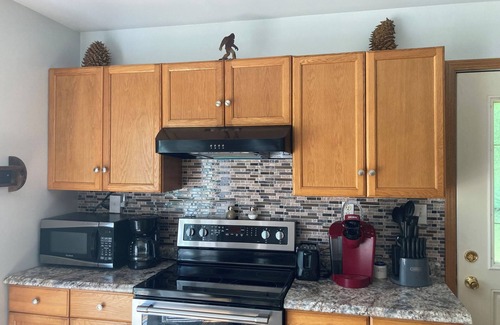 Mountain Cabin | Squatch Mountain is a 2-bedroom Cabin for all your "UPNORTH" Fun! Dog Friendly