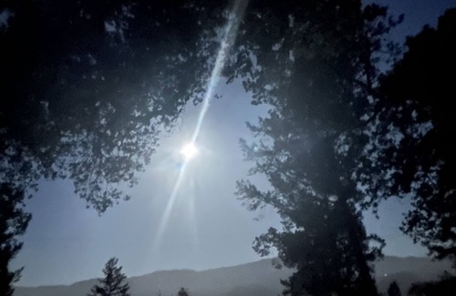 Deer Park House | St Helena 3 plus BDRM w pool, BBQ, near town and Meadowood resort. Serene garden