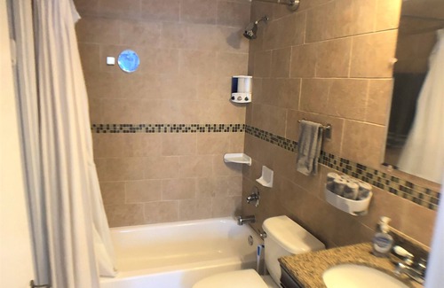 St. Petersburg - Clearwater Condo | St. Pete/Tampa 1 Bed/1Bath Condo/suite