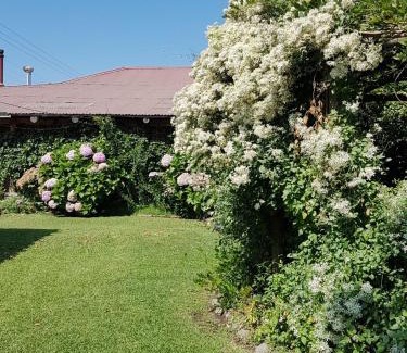 Curico Bed & Breakfast | Sta. Marta B&B