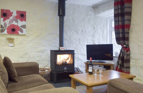 Llys Y Fran Cottage | Stable Cottage - W42502