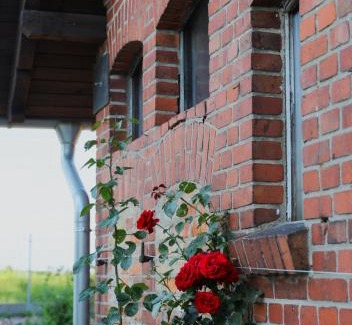 gmina Ostrorog House | Stacja Binino