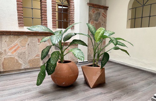 Guadalajara Municipality House | Stadium House - Ground Floor!