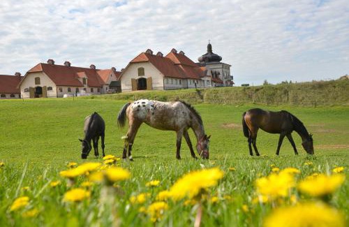 Mikolajewo House | Stadnina Koni Nad Wigrami