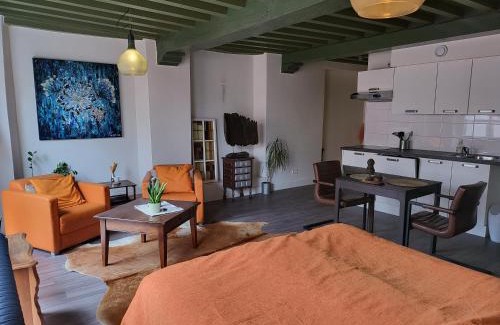 Zwolle City Centre Apartment | Stadslogement Bij de Sassenpoort