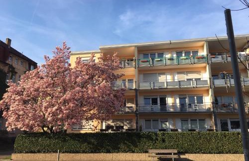 Muellheim Apartment | Stadtferienwohnung