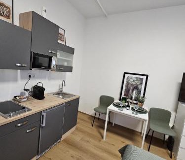Wels Apartment | Stadtoase Wels