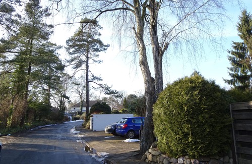 Ehestorf Apartment | (Staff) feel-good apartment in the rose garden (for one guest)