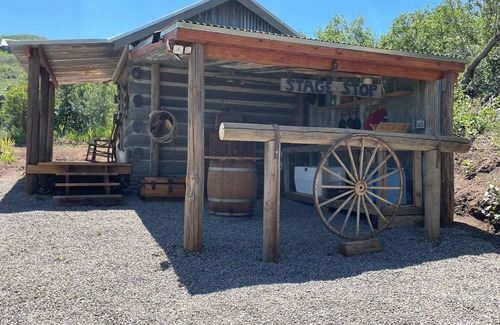 Collbran Cabin | Stagecoach Cabin - antique western charm