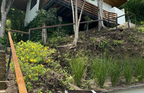 Paquera Apartment | Stairway to heaven where the jungle meets the sky! Bioluminescence, Isla Tortuga
