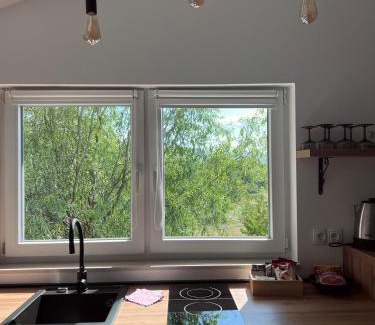 Trn Apartment | Stan Maric