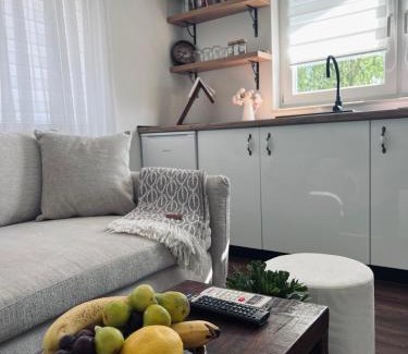 Trn Apartment | Stan Maric