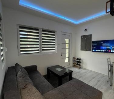 Bor Apartment | Stan na dan Bor