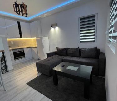 Bor Apartment | Stan na dan Bor