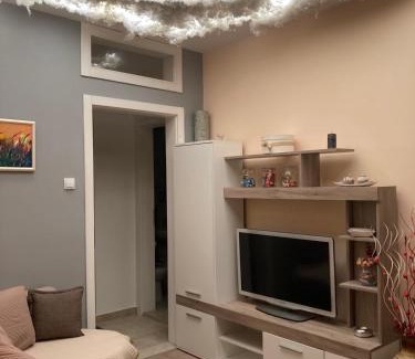 Loznica Apartment | Stan na dan - LOZNICA