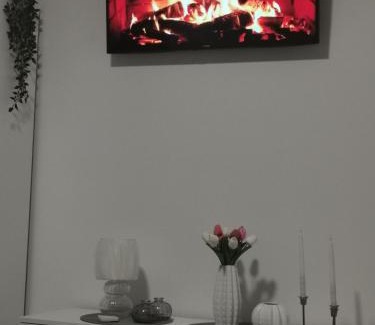 Pozarevac Apartment | Stan na dan Pozarevac Apartman Olja