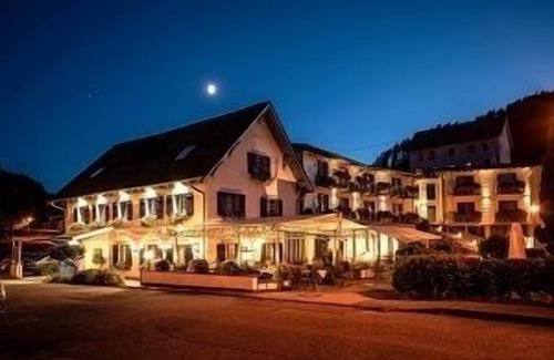 Schenkenzell Apartment | Standard double room