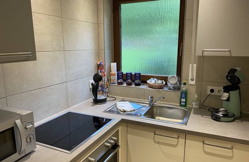 Pfeffingen Apartment | Standard double room, 22sqm, ground floor, private bathroom, garden view