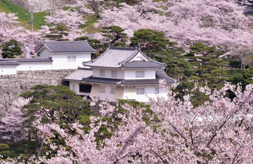 Nihommatsu Hotel | Standard room only plan twin room/Nihonmatsu Fukushima
