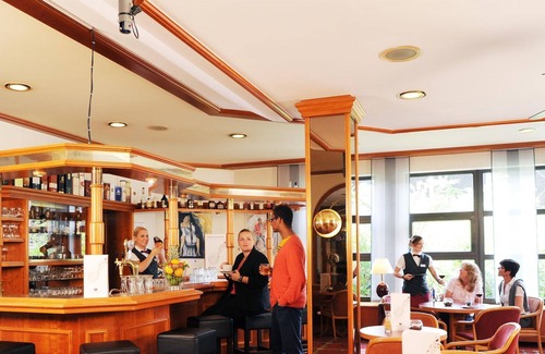 Bad Duerkheim House | Standard Single Room Bath / WC - MERCURE Hotel Bad Dürkheim an der Salinen