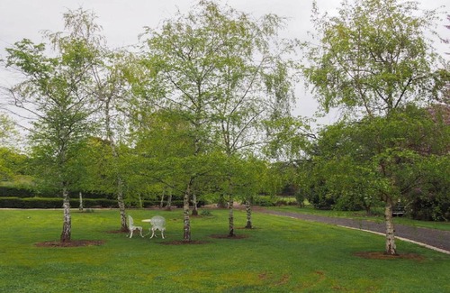 Stanley Cottage | Stanley Hideaway - peaceful and pet friendly
