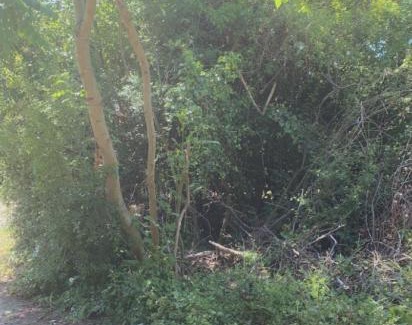 Dunmow Other | Stansted Glamping