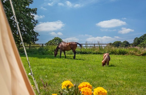 Shepshed Cabin | Star Gazing Bell Tent Farm Stay