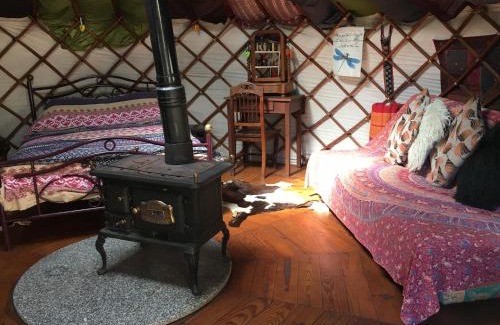 Pedrogao Grande Other | Star Gazing Luxury Yurt RIVER VIEWS, off grid Dragonfly Valley