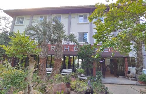 Downtown House | Star House