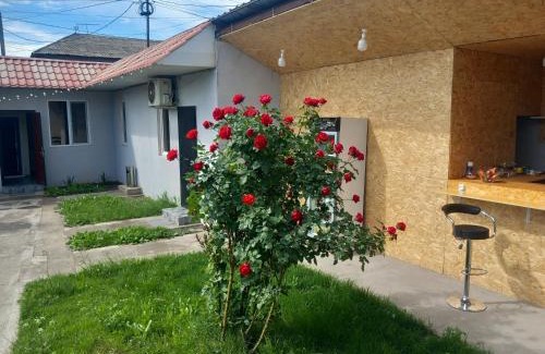 Parakar Hotel | Star Zvartnoc Hotel