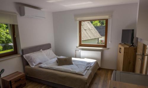 Pohorje Apartment | Stara ribogojnica & Pohorska postrv