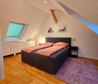 Donaueschingen Apartment | Stardust
