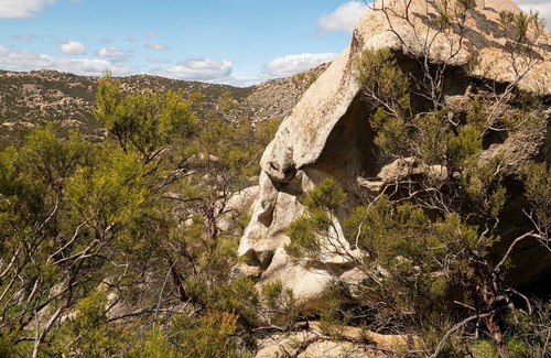 Aguanga RV Rental | Stargaze in a CA Desert Glamp: Palomar Views